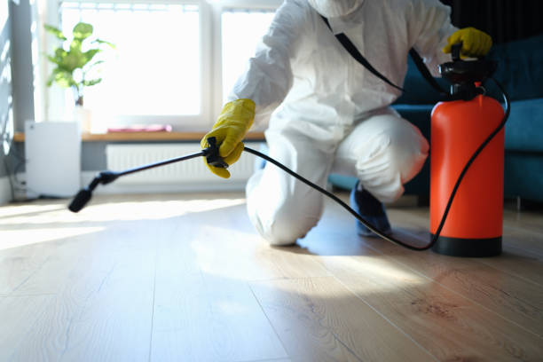 Reliable Odor Removal contractor in Nipomo, CA by Trauma Clean Pros